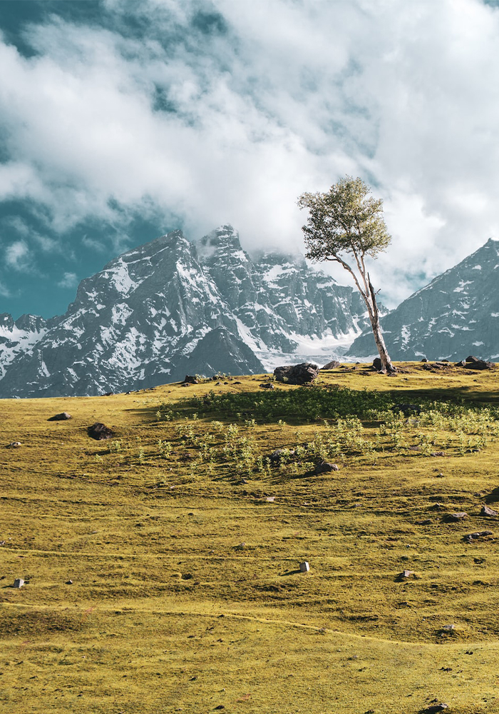 Kashmir Pahalgam Gulmarg Sonmarg