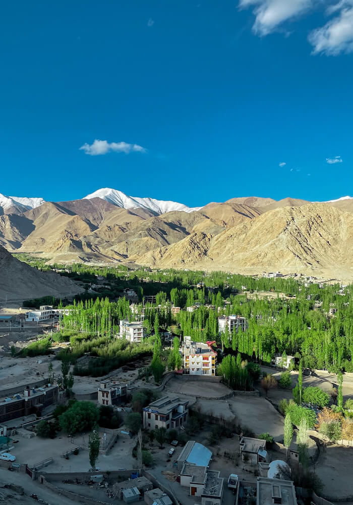 Leh Ladakh Nubra Valley Pangong Ex Del