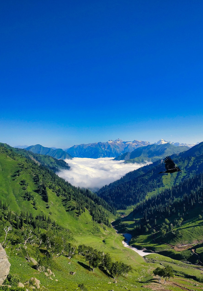 Kashmir Pahalgam Gulmarg Sonmarg