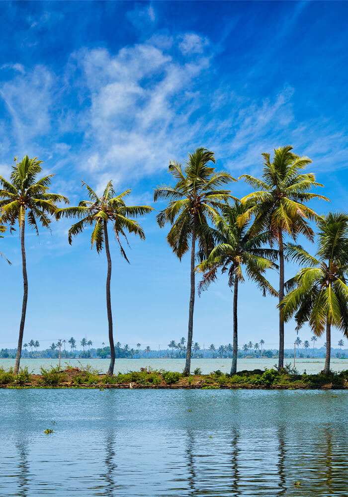 Munnar Thekkady Kovallam Kanyakumari Monsoon Tour