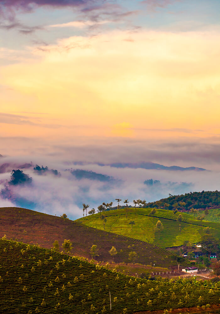 Munnar Thekkady Kovallam Kanyakumari Monsoon Tour